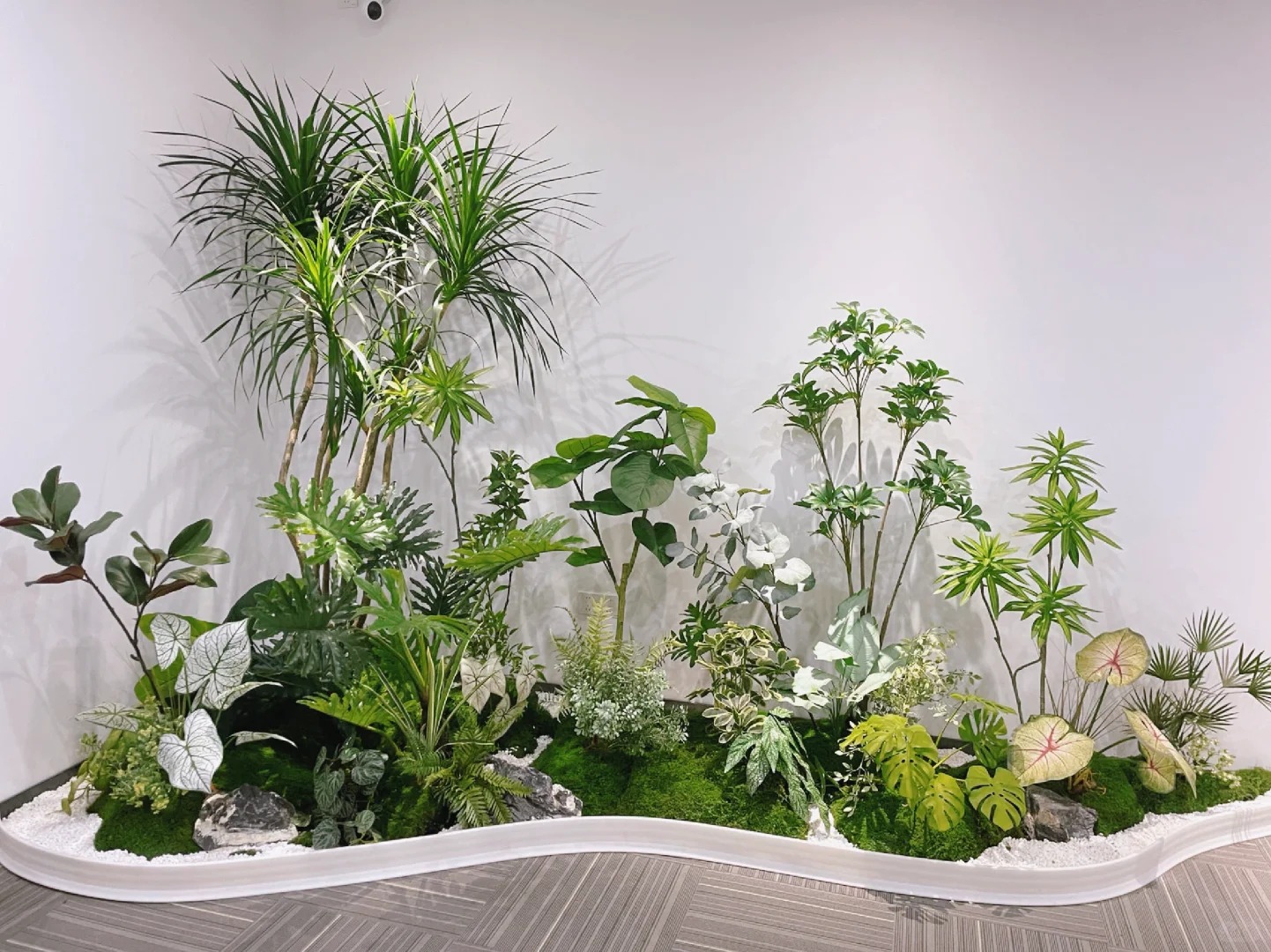 余姚盆景租摆哪家好？这份指南助你找到心仪之选！